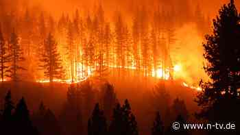 Feuer durch Glas, Kippen, Autos?: Das ist an den Waldbrandmythen dran