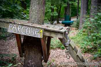 Was wird aus dem Kletterwald in Kriebstein?