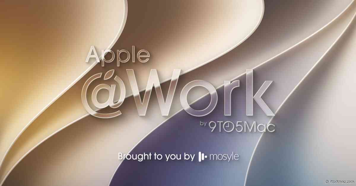 Apple @ Work: Understanding Apple Business Manager roles and permissions