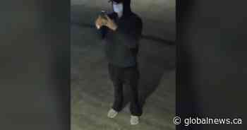 Suspect sought after neo-Nazi, anti-Black imagery placed at Ontario business