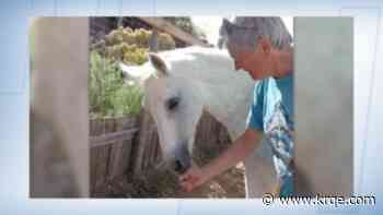 Kindred Spirits Animal Sanctuary hosts annual art show Aug. 22