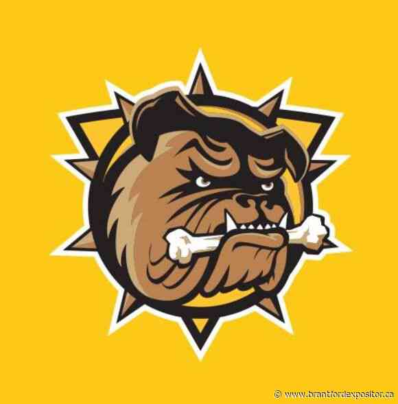 Brantford Bulldogs open training camp next week