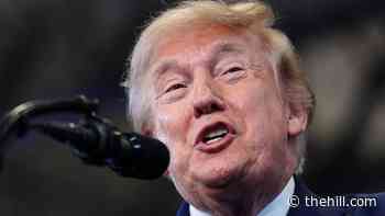 Retired colonel knocks Trump order to cut back on 'critical' joint exercises with South Korea