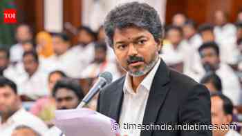 100 days of TVK government: CM Vijay defines priorities, but his real test begins now