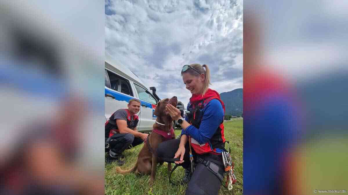 Zu erschöpft für den Abstieg: Bergwacht rettet Labrador und Herrchen per Hubschrauber