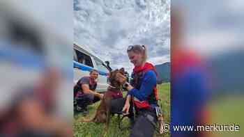 Zu erschöpft für den Abstieg: Bergwacht rettet Labrador und Herrchen per Hubschrauber