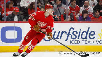 The Red Wings New General Manager’s To-Do List