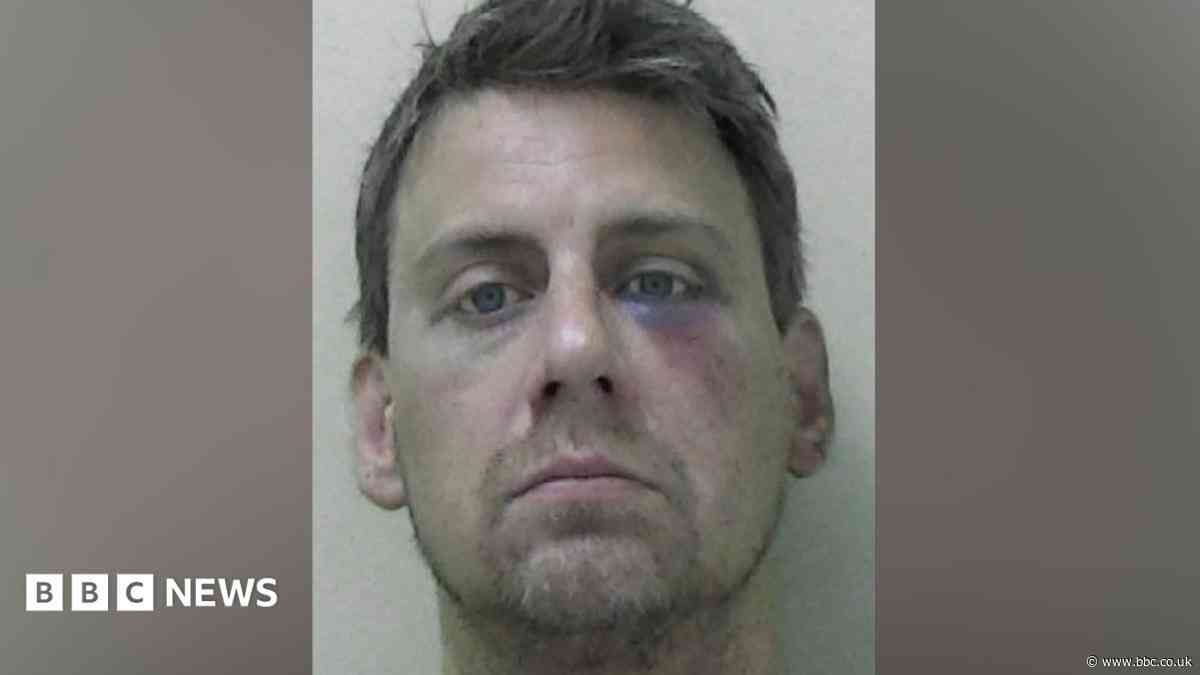 Woman fled through window to escape abuser, court hears