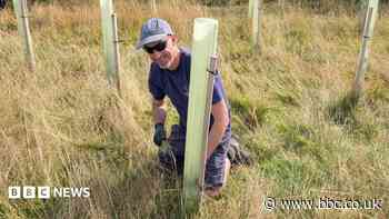 Community forest confirms climate funding to 2030