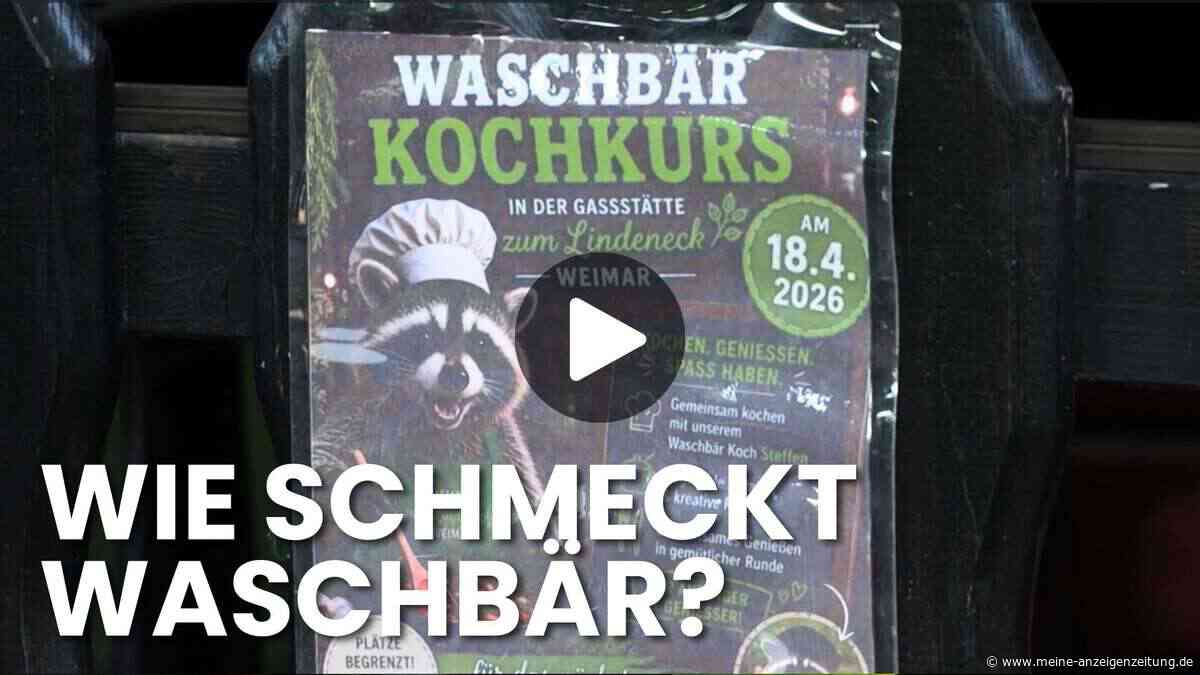 Waschbär auf dem Teller: Außergewöhnlicher Kochkurs soll Artenschutz fördern