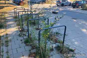 Wenn man die Natur in Ruhe lässt: Fahrradbügel als Pflanzenoase