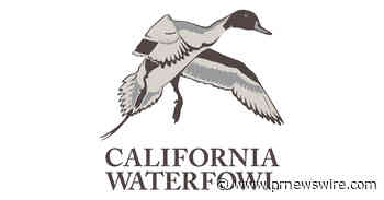 California Waterfowl Launches "Heart of the Flyway" Campaign to Secure California's Waterfowling Legacy