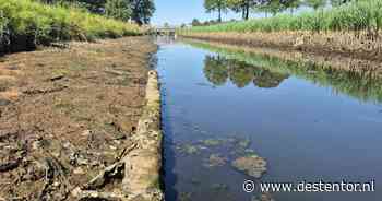 Vissen in Sallandse watergangen overgezet vanwege droogte