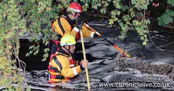 Police issue major update in River Tyne search for missing man with two arrested