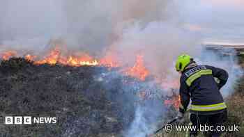Ban disposable BBQs permanently, firefighter says