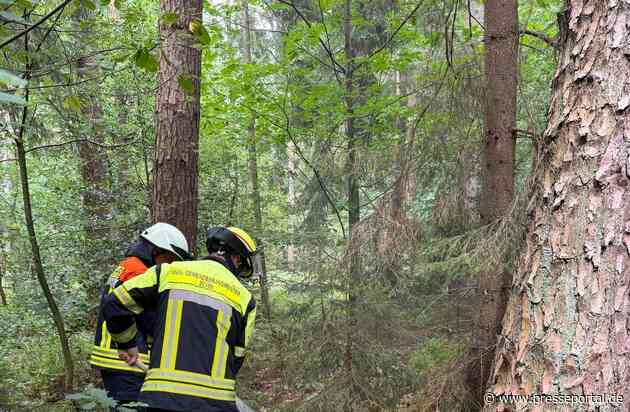 FW-ROW: Waldbrand bei Badenstedt: Rund 30 Einsatzkräfte vor Ort