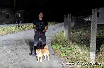 API-TH: Vermisster Shiba Inu namens "Simba" auf Autobahn angetroffen