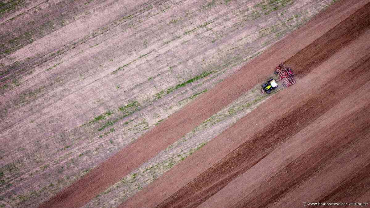 Schlechte Ernten können für die Deutschen zum Problem werden