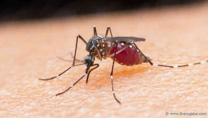 $1K laser mosquito zapper promises precision strikes as backers itch for answers