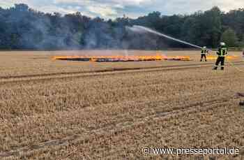 FW-WRN: Freiwillige Feuerwehr Werne übt Vegetationsbrandbekämpfung