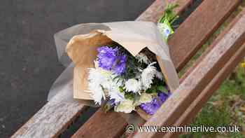 Death of boy, 5, in tower block fall was ‘preventable’, mother says