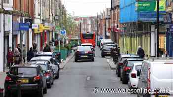 Health plea for children as hepatitis A outbreak in Barry continues