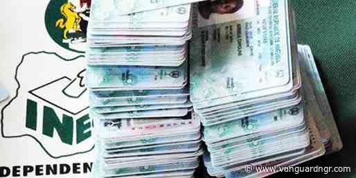 Osun Election: South-East Youths urge voters to use PVCs wisely in 2027