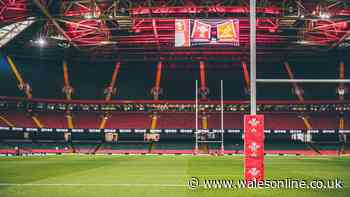 Welsh rugby war is no battle between good and evil but the WRU has a big problem
