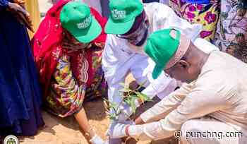 Kano begins 800-tree planting campaign at college