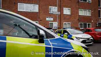 'The street was swarmed with police': Neighbours' shock as man dead and murder investigation launched after stabbing in flat