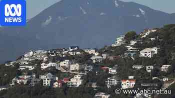 What happens if property prices drop 20pc? Ask New Zealand or Canada