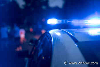 ACPD: Fight breaks out, replica weapon leads to arrest at Arlington County Fair