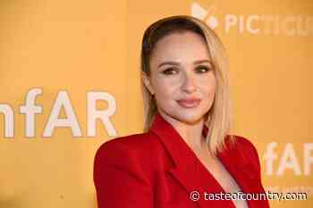 Hayden Panettiere: A Timeline of Tragedy + Troubles