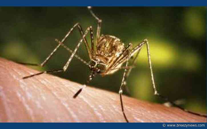 Local Cases of West Nile Virus Confirmed