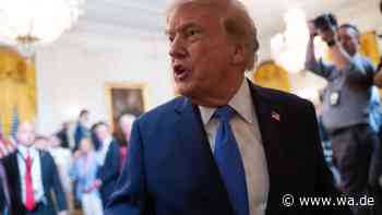 Militärübungen mit Südkorea reduziert: Massive Kritik an „wahnwitziger und planloser“ Trump-Entscheidung
