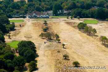 Met Office gives strong indication of heatwave in London in September