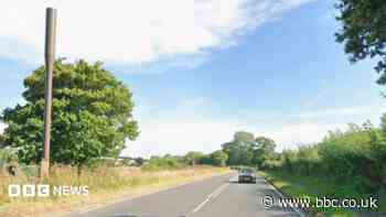 Driver in his 30s dies after car crashes into tree