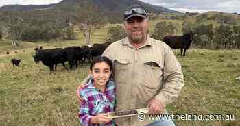 Carbon farming 'cap' limits incentive to build soil, argues beef producer