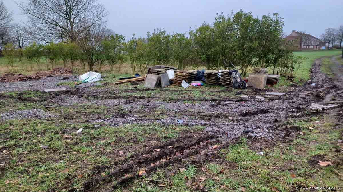 Hefty fines for North East trio after waste found dumped in alley and allotment