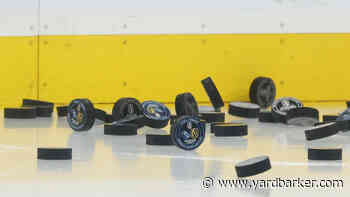 Hurricanes acquire Stiven Sardarian from Sabres