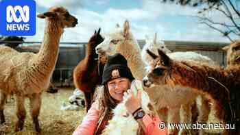 Donkeys, camels and the 'Emu Man' call this 'ghost town' home