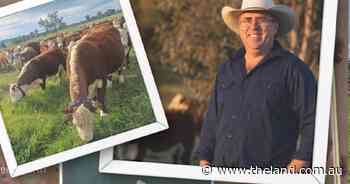 The invisible barrier: technological aid to boost soil, beef up production