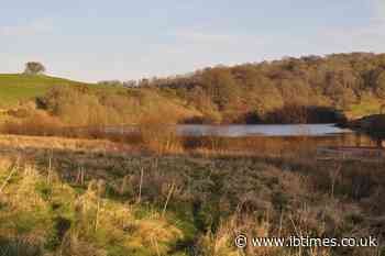 Wessex Water Hits 1.4 Million Customers With First Historic Hosepipe Ban Since 1976 as Drought Worsens