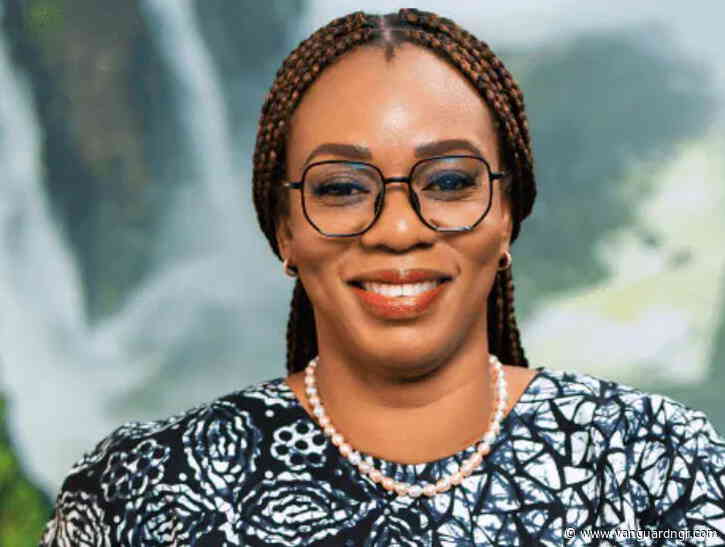 MultiChoice Nigeria clarifies ownership structure under Canal+