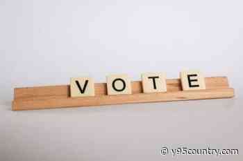 Albany County Voting Information For 2026 Primary Election