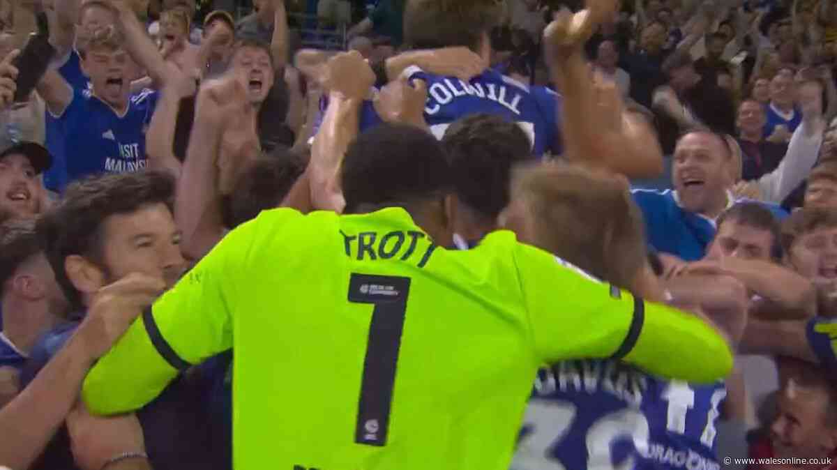 Barry-Murphy goes wild and jumps into crowd as Cardiff City boss given new name