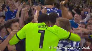 Barry-Murphy goes wild and jumps into crowd as Cardiff City boss given new name