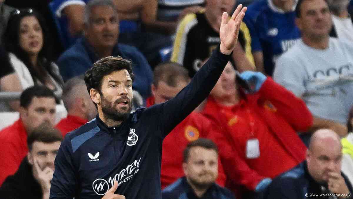 Cardiff City still want players in 'all areas' as Barry-Murphy explains transfer delays