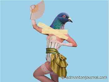 Fringe Review A Sexy Pigeon Show just what it sounds like