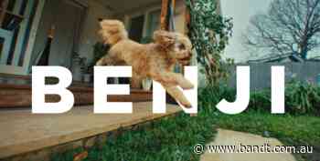Pure Animal Wellbeing Celebrates Pets In ‘Best Life Ever’ Campaign Via Princess